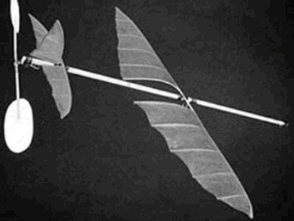 Planophore
