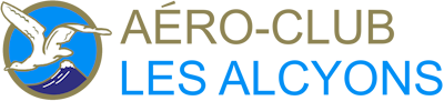 logo Alcyons